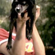 Illustration for article titled iThe Sarah Silverman Program/i: Joan Of Arf